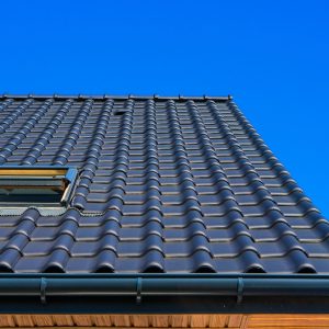 vertical-low-angle-closeup-shot-black-roof-building